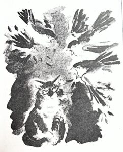Le petit chat qui aimait les oiseaux