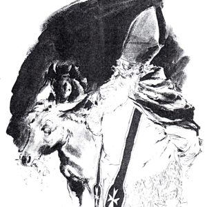 L&rsquo;âne de Saint Nicolas