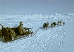 Igartalik, la vie groenlandaise