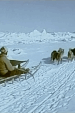 Igartalik, la vie groenlandaise