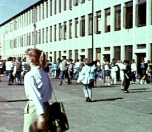 Le stage en entreprise : mon premier emploi…