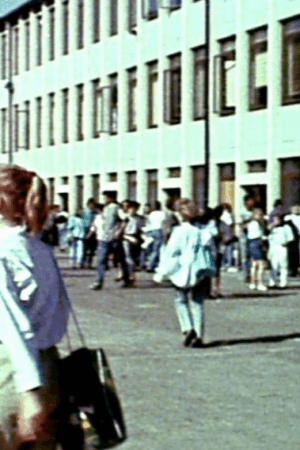 Le stage en entreprise : mon premier emploi…