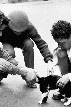 Le chantier des gosses